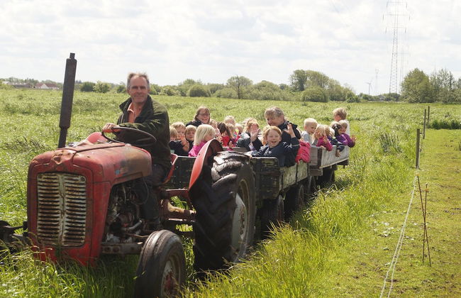 Nymarksminde Apartments & Farmpark - Foto 26