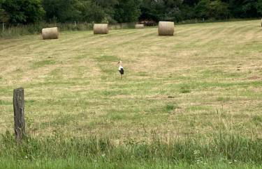 Ferienwohnung Christel - Foto 2