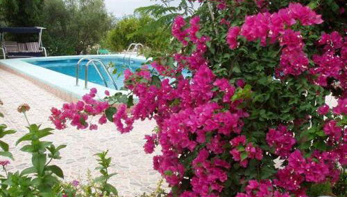 Casa Rural Mi Campo - Foto 4, Garden