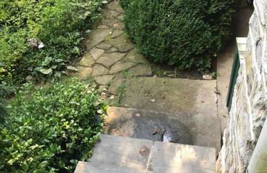 Lock Keepers Cottage on C&O Canal/Potomac River - Foto 38