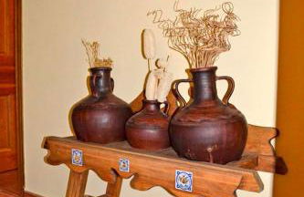 Pedrazales Rural - Foto 19