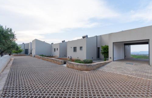 The Olive Hill - Foto 16