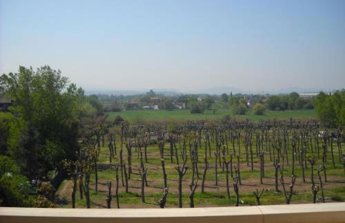 Residence Maryel - Foto 50