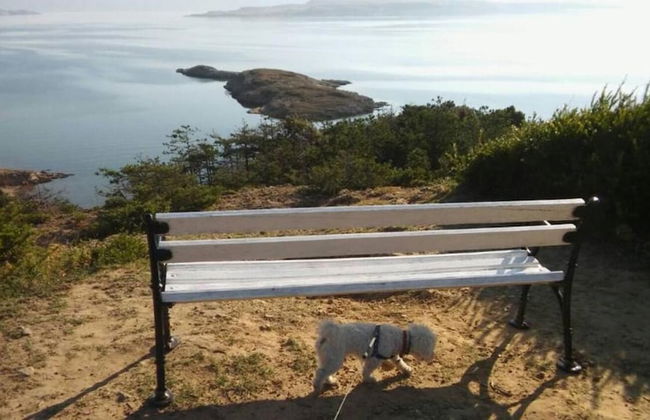 Damir - Free Parking & BBQ - A3 - Foto 20