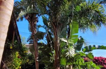 Belíssima casa de praia com piscina - Photo 12