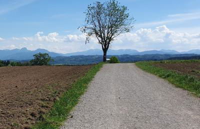 FeWo Mangfall - Foto 23