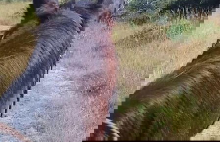 AtNature Luxury Self Catering Cottages - Photo 27