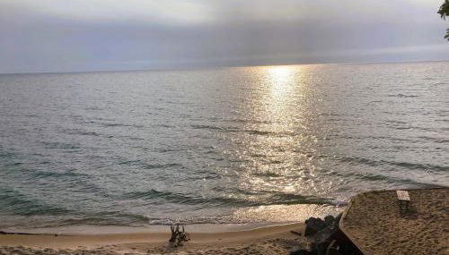 The Wee Cabbage - Foto 5