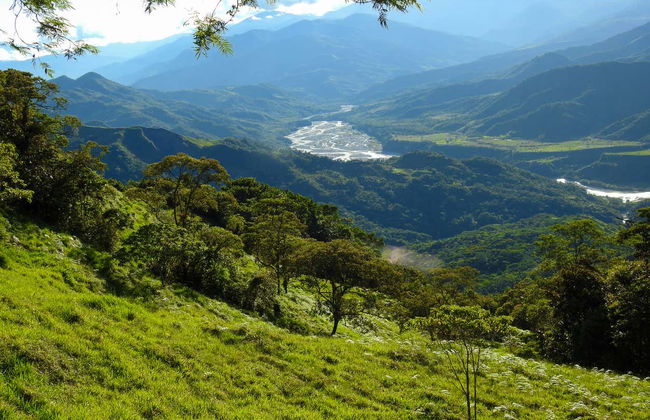 Birdwatching in Villavicencio - Photo 7