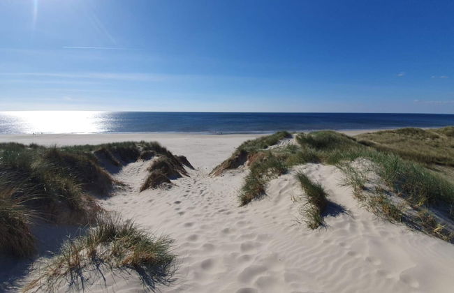 20 Person Holiday Home in Norre Nebel - Foto 25