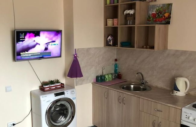 Comfort Apartments on Zapolnaya 60 apt 178 - Photo 8