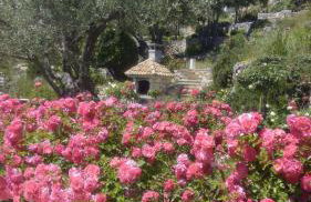 Piccolo Paradiso - Foto 9