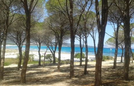 Solea Apartment - Foto 22