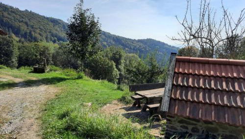 Kas Alm am Grandsberg - Foto 3