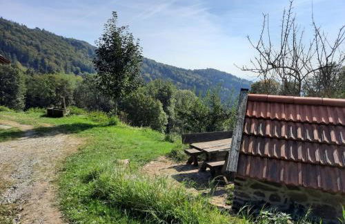 Kas Alm am Grandsberg - Foto 3