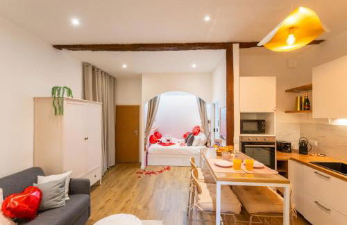 Studio Toulouse Capitole La Voute Rose - Photo 19