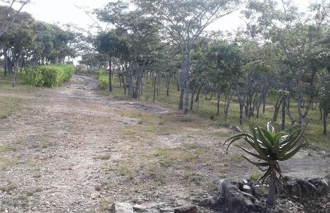 Paz Cottage - Foto 27