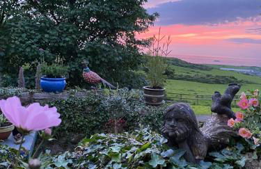 West mouse view - Foto 15