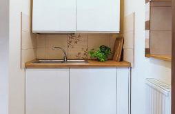 Apartamenty Górki Małe - Foto 23