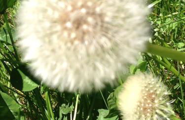 Borgo Rosia Holiday House - Foto 43