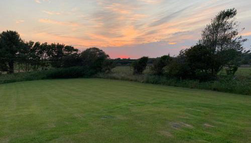 Butterfly Cabin - Foto 2, Garden view