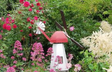 Fewo Rügen Böttger - Foto 13