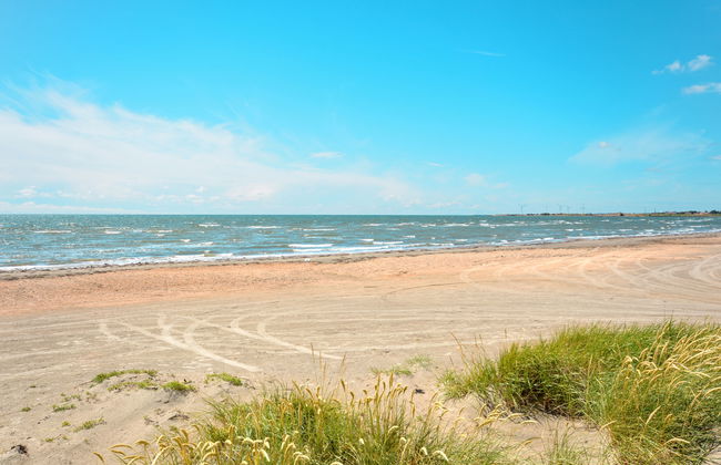 2 bedroom House in Falkenberg with garden and terrace - Photo 6