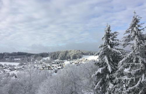 FERIENWOHNUNG FORSTPANORAMA - Foto 21