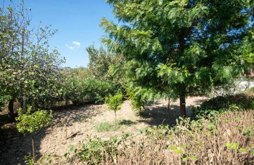 Vossos Cottage House - Visit all Zakynthos from one place - Foto 5