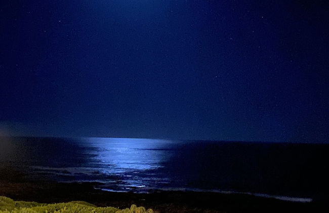 Gansbaai Seafront Holiday House: Ons C-huis - Foto 13