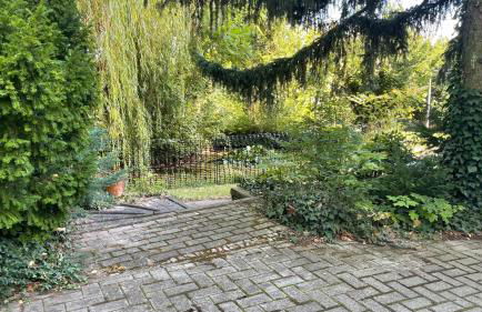 Ferienhaus-Natur-Elbblick-Vollausstattung - Foto 2