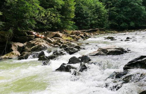 Willa Maja Bieszczady noclegi Bieszczady - Foto 50