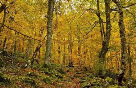 CA' REMEDIOS - Foto 24