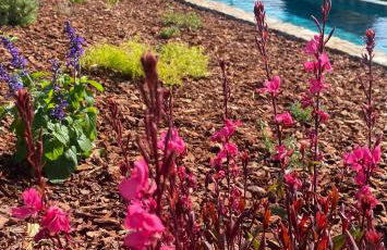 Pena De Roca - Foto 7