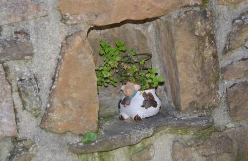 La Seronda de Redes - Foto 29