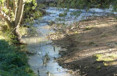 El Carro del Abuelo - Foto 56