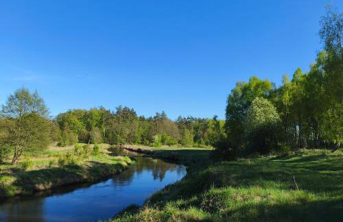 Smugi Dom Gościnny - Foto 33