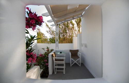 Alloro Perissa - Foto 14