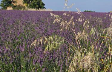 La Maison de Marie - Foto 3