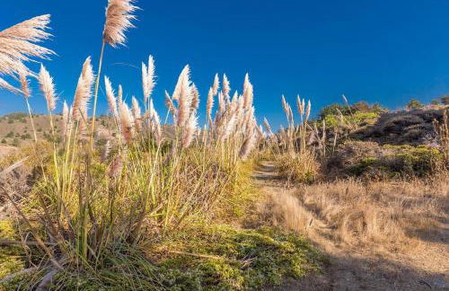 @ Marbella Lane Tuscan Villa with Hot Tub - Photo 134