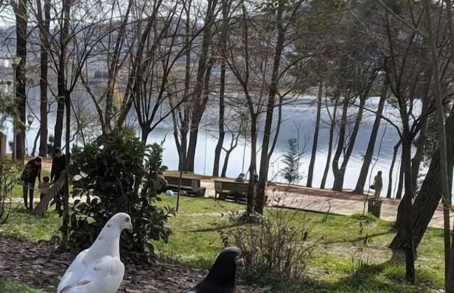 Green Terrace Apartments Tirana - Foto 48