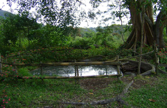 Trilha privada pela cascata Aguas Calientes - Foto 5