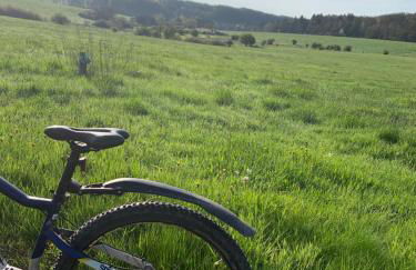 Ferienhaus Eifelstuben mit Charme - Bauernstube Vulkaneifel - Nähe See und Burgruine - Photo 71
