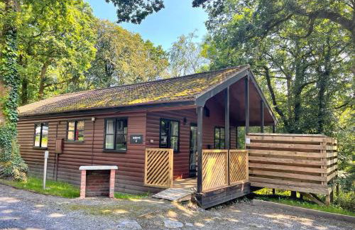 Goldcrest 4-Hot Tub-Woodland Lodges-Carmarthenshire-Tenby - Foto 13