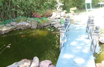 Gîte Alsace maison indépendante proche Strasbourg - Foto 30