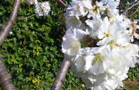 Les Valletes - Foto 39