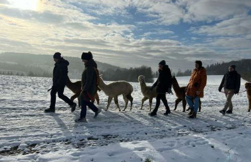 Holiday home in Windeck with barbecue - Foto 17