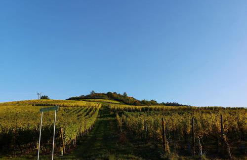 Cocon de caractère au cœur des vignes Alsaciennes - Foto 11