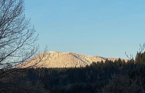 PNW Scenic Loft with Kitchenette - Foto 32