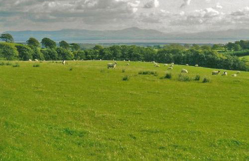 Halliday Hill Cottage - Photo 8